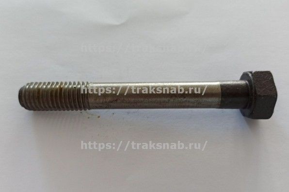 Болт головки блока короткий Д-240 — 1