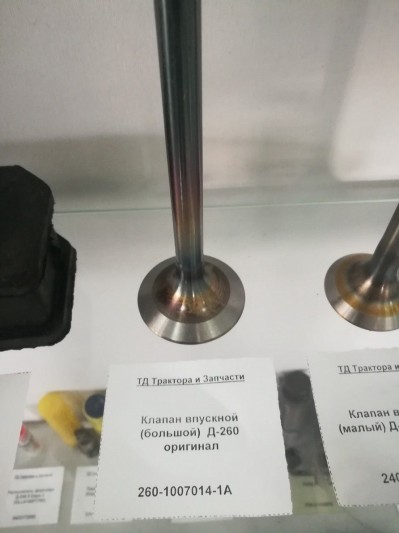 Клапан впускной (большой)  Д-260 оригинал