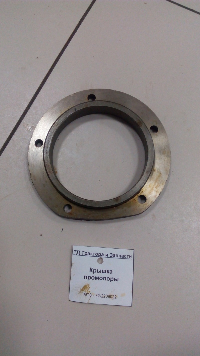 Крышка промопоры — 1