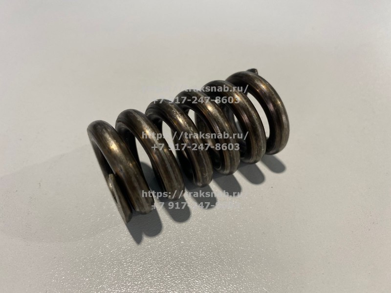 Пружина — 1