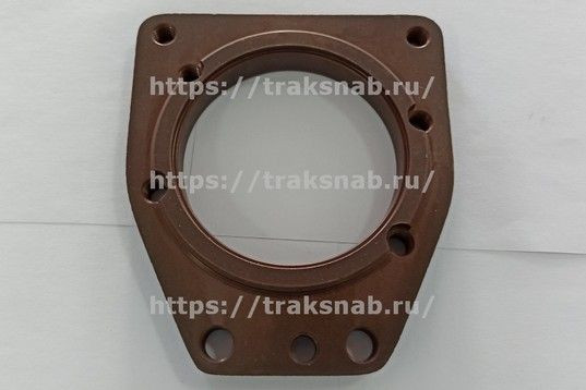 Плита крепления 20009-09 ТНВД 4М EURO-2 — 1